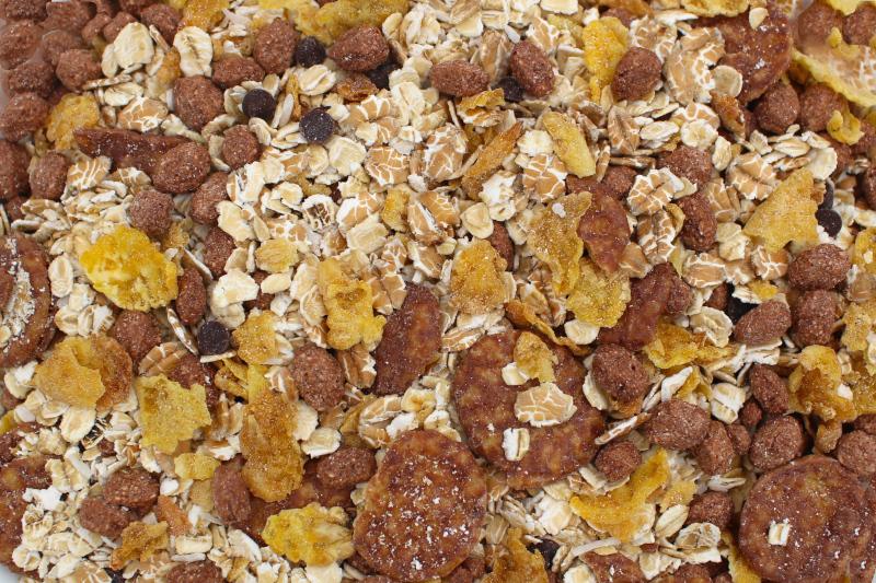 Müsli Chocolat Biologique 20kg