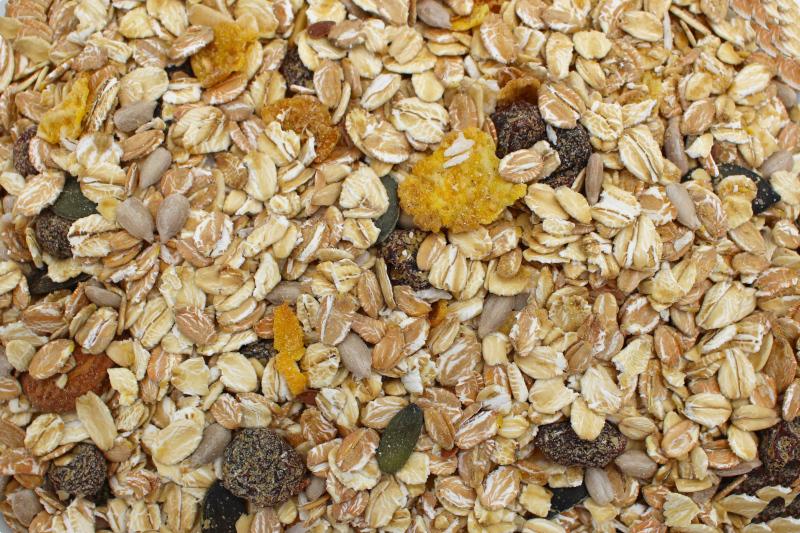 Müesli Vital bio 12,5kg