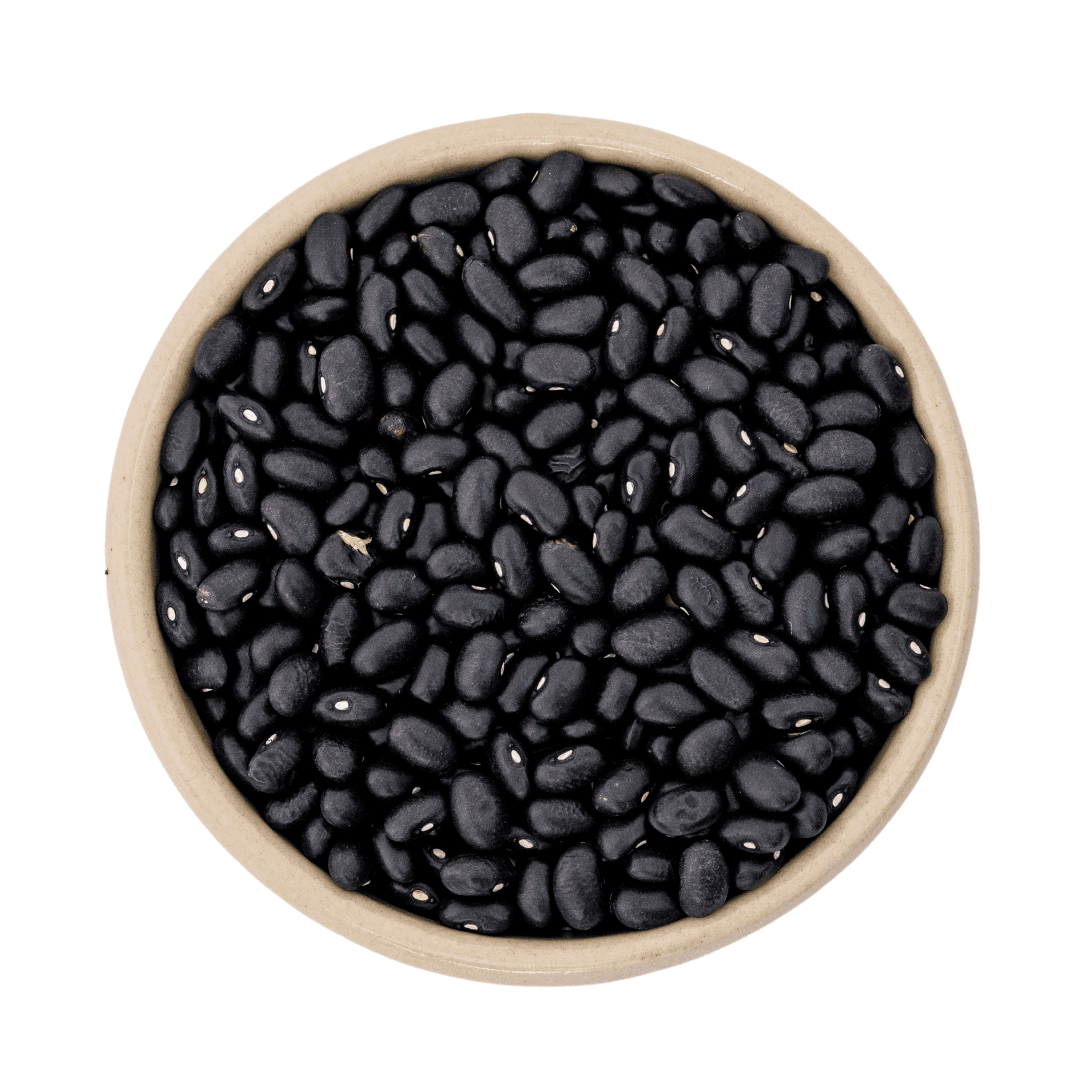 Haricots noirs biologiques (black turtle) 11.34kg