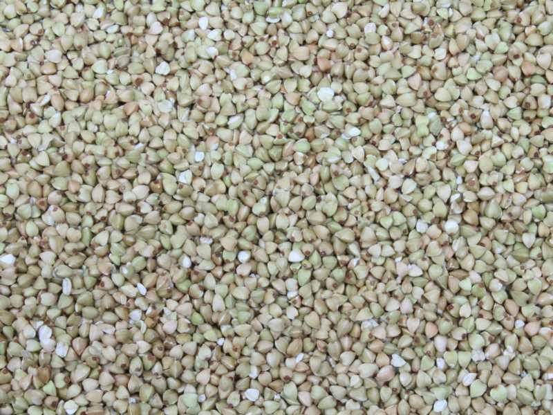 Sarrasin décortiqué bio Europe 25kg