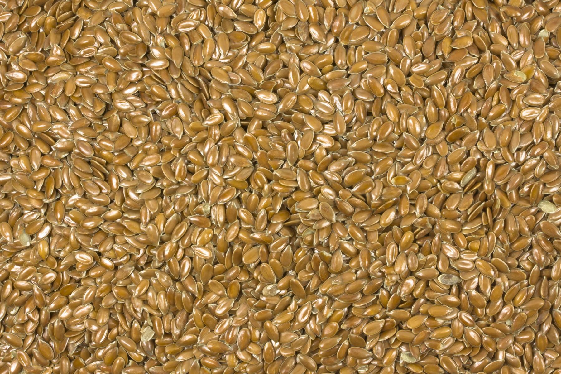Graines de lin brunes bio de qualité transformateur 25kg