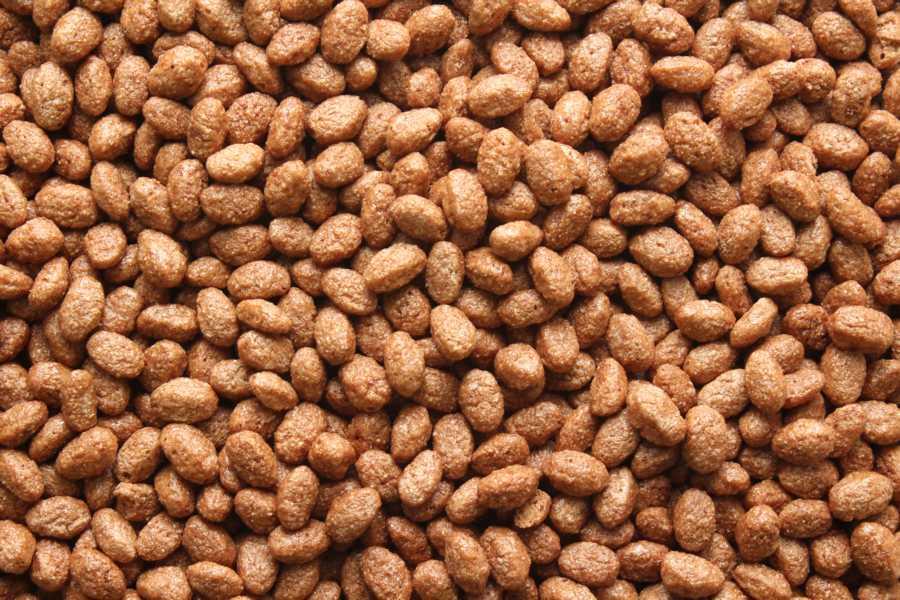 Croustillants de chocolat biologique 10kg