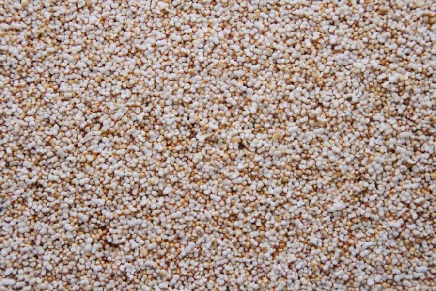 Amarante soufflé biologique 15kg