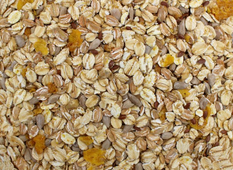 Müesli sans raisins secs bio 25kg