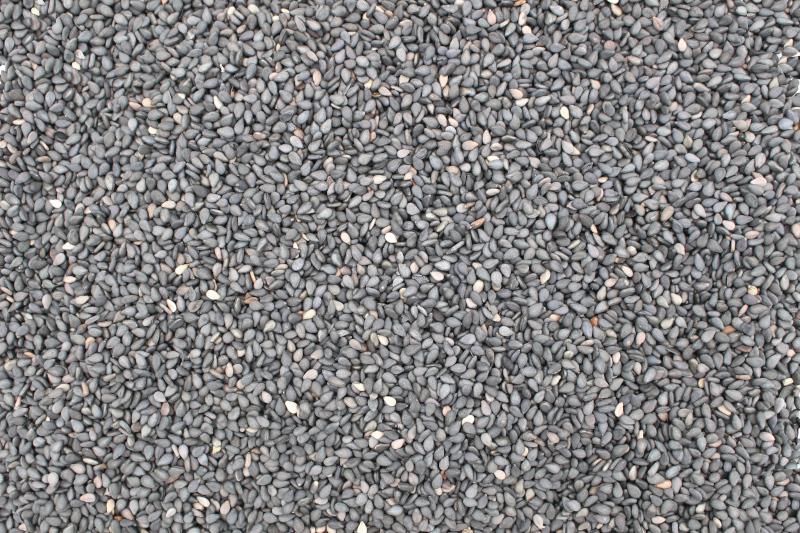 Graines de sésame noir bio 6x250g