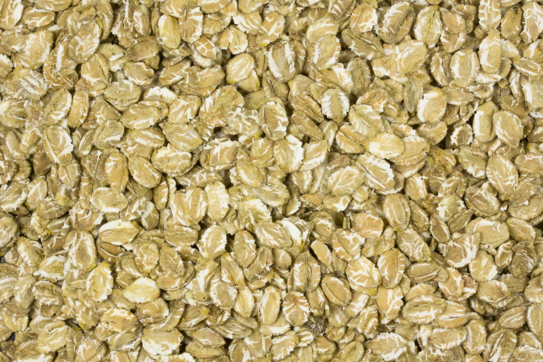 Flocons de seigle biologiques 25kg