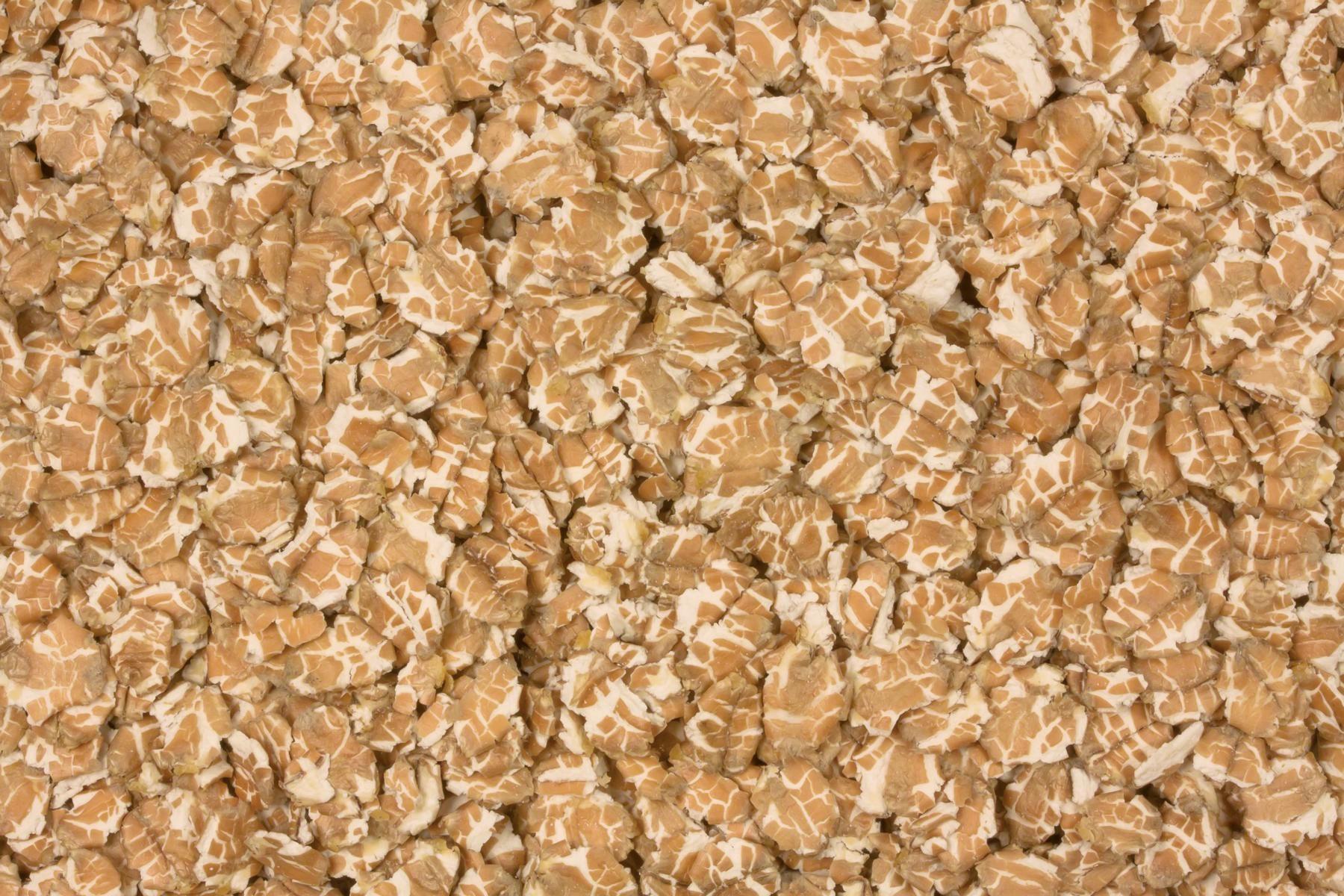 Flocons d'avoine Biologique 25kg