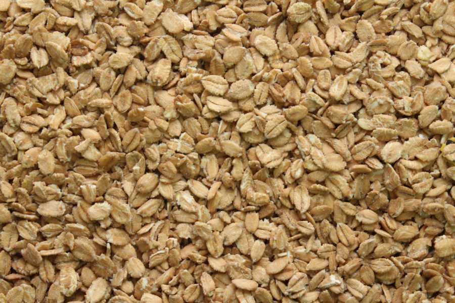 Crunchy de grand épeautre biologique 25kg