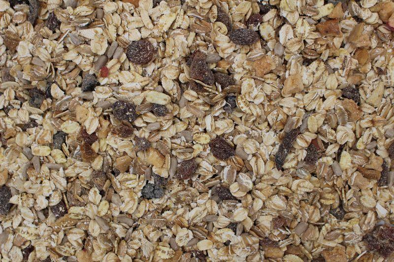 Muesli aux Fruits bio 5kg