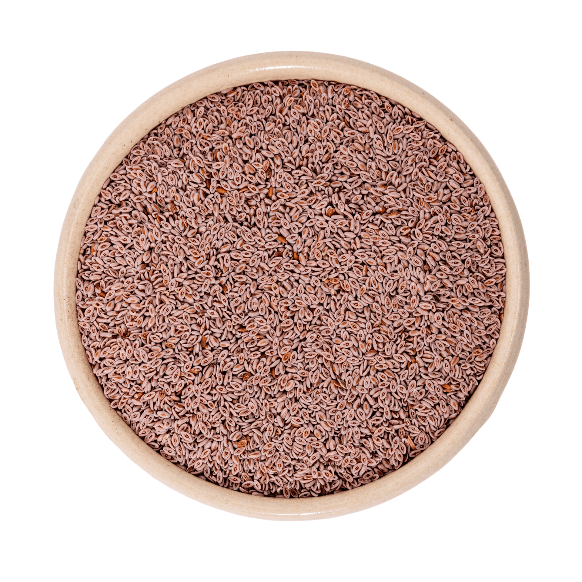 Psyllium blond bio (Inde) 25kg