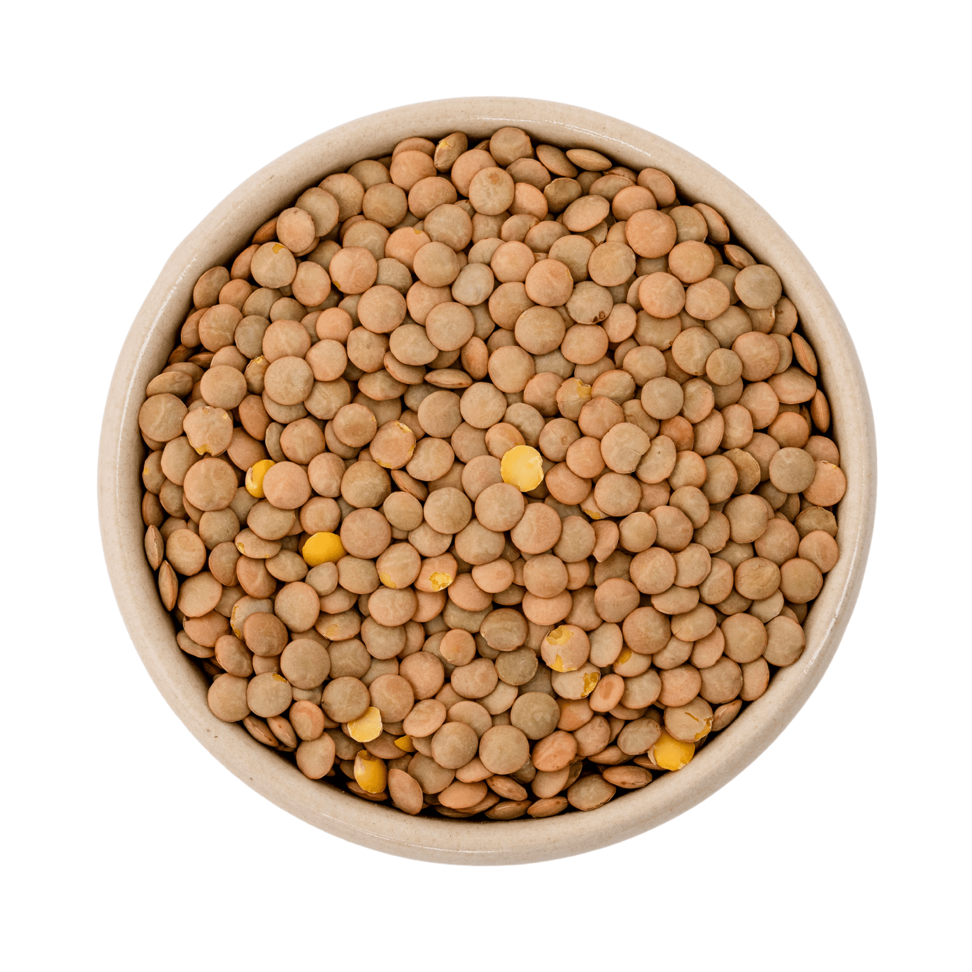 Lentilles brunes bio (Teller, Laird) 6x500g