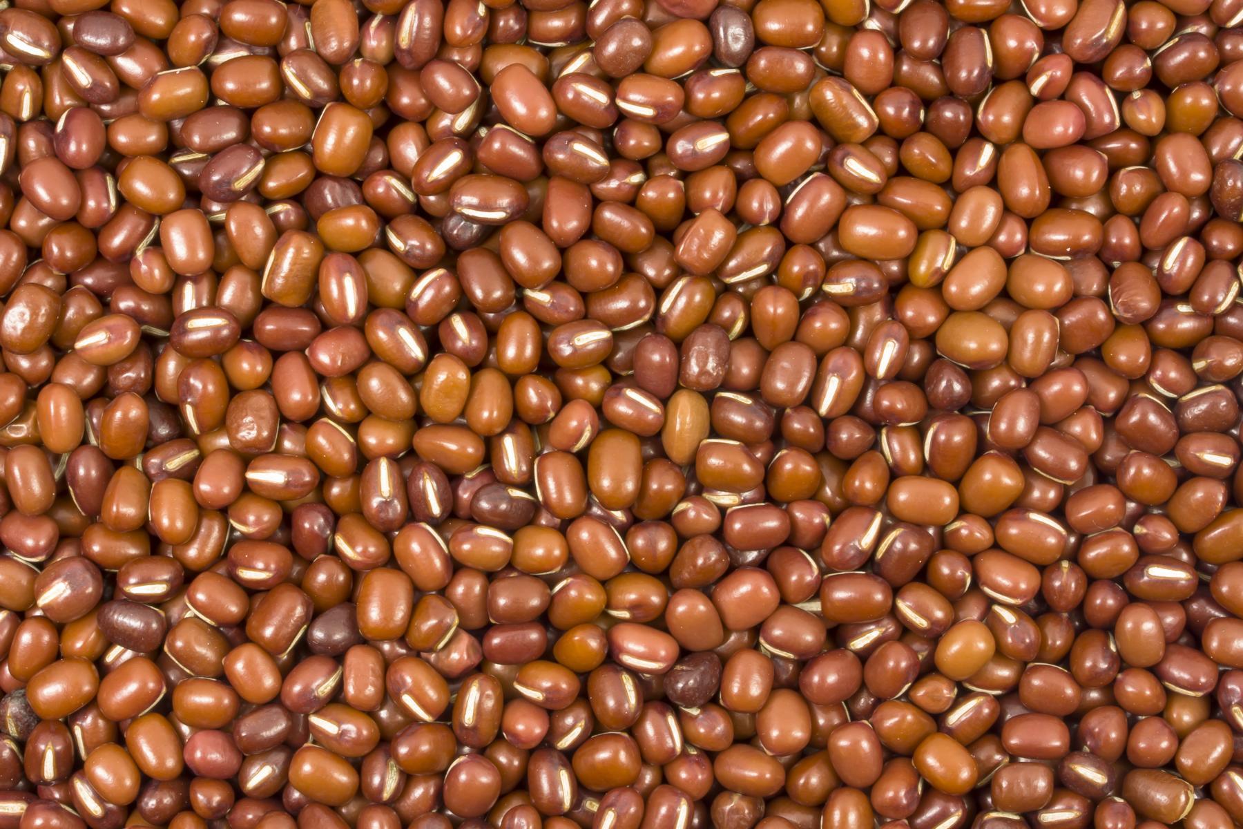 Haricots Azuki bio 25kg